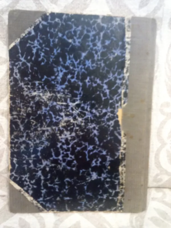 Viktutė -  Šatrijos Ragana, knyga 2