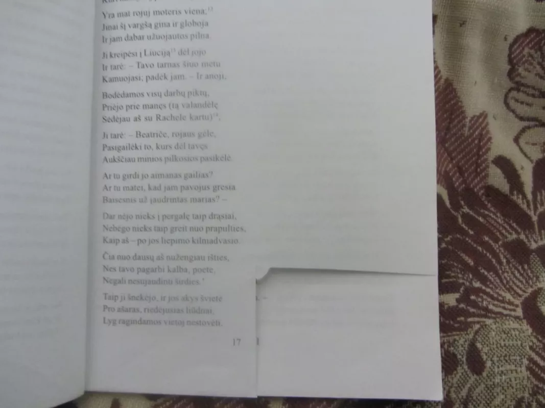 Dieviškoji komedija. Pragaras - Aligjeris Dantė, knyga 3