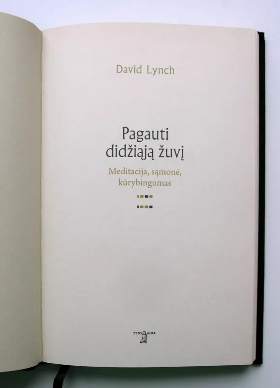 Pagauti didžiąją žuvį: meditacija, sąmonė, kūrybingumas - David Lynch, knyga 3