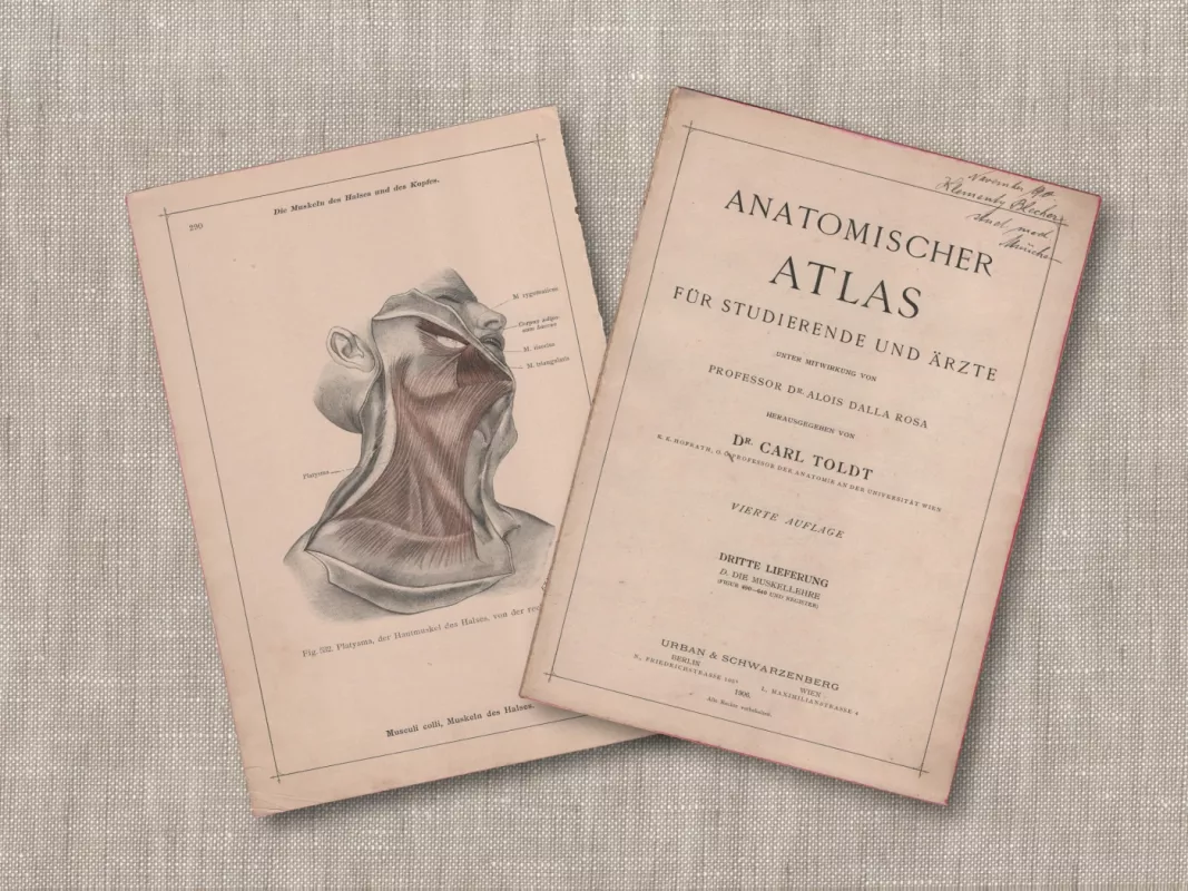 Žmogaus galvos kaklo raumenys 1908m. spalvota litografija iš Anatomischer Atlas albumo - , namai ir interjeras 4