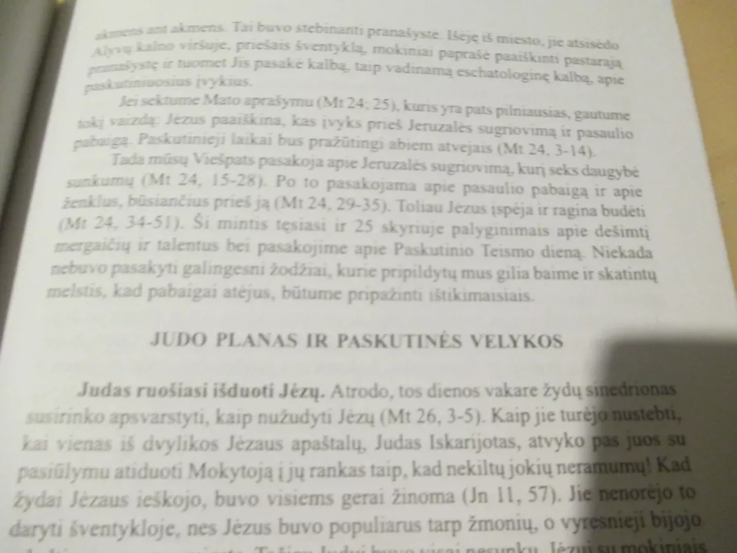 Naujojo Testamento istorija - William Arndt, knyga 4