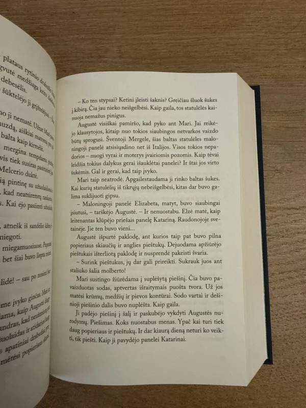 Vila - Jacobs Anne, knyga 4