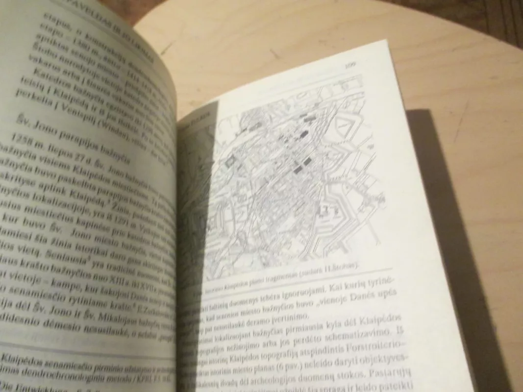 Protestantizmas Lietuvoje: istorija ir dabartis - Autorių Kolektyvas, knyga 5