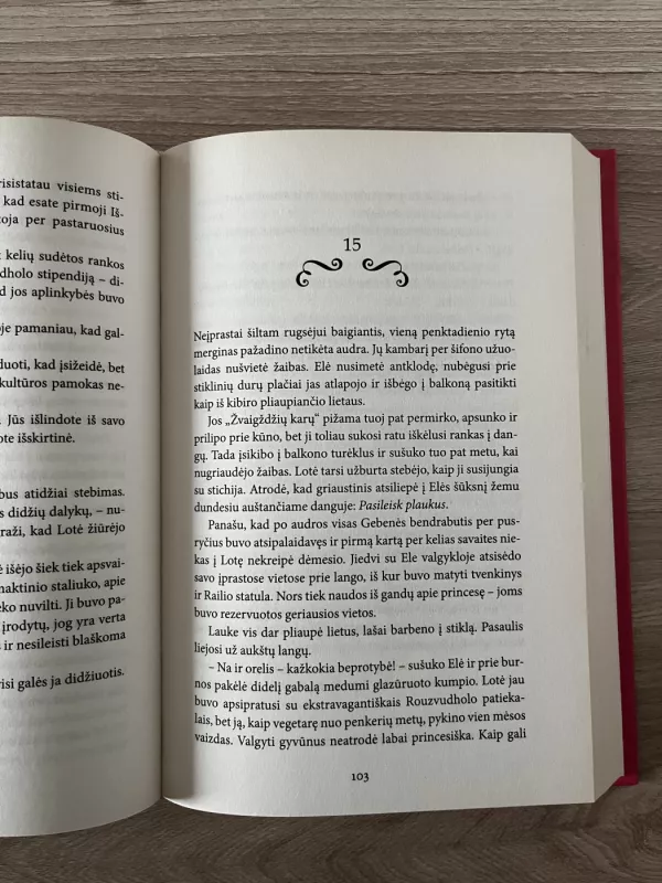 Rouzvudo istorijos. Princesės paslaptis - Connie Glynn, knyga 2