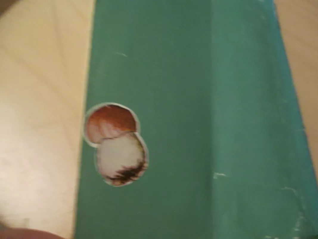 Grybai mūsų valgiui - Vanda Šakienė, knyga 5