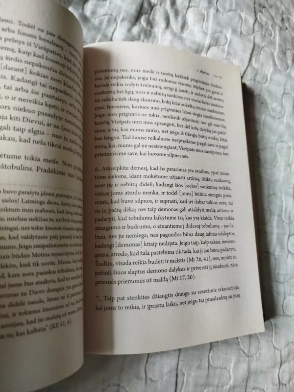 Tobulumo kelias - Šventoji Jėzaus Teresė, knyga 4