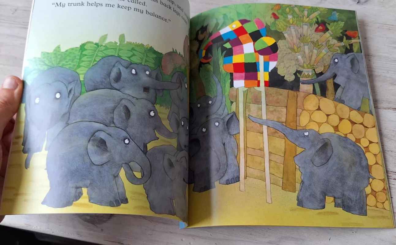 Elmer on Stilts - David McKee, knyga 5