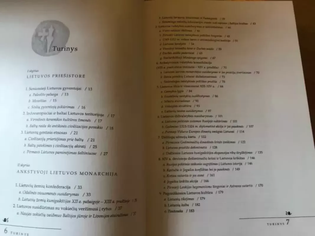 Lietuvos istorija nuo seniausių laikų iki 1569 metų - Edvardas Gudavičius, knyga 6