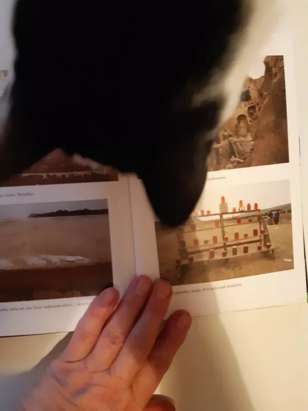 Punktyrai kelio paraštėse. Kelionė į Iraną - Marius Abramavičius, knyga 3