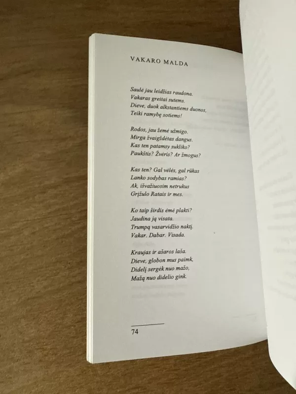 Vienuolynas - Algimantas Baltakis, knyga 5