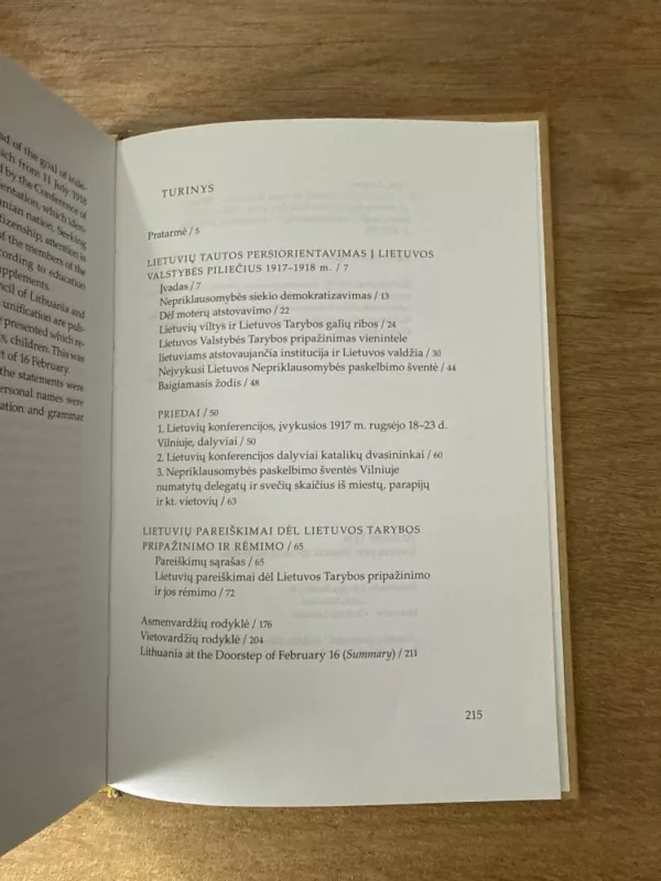 Lietuva prie Vasario 16-osios slenksčio - Antanas Tyla, knyga 6