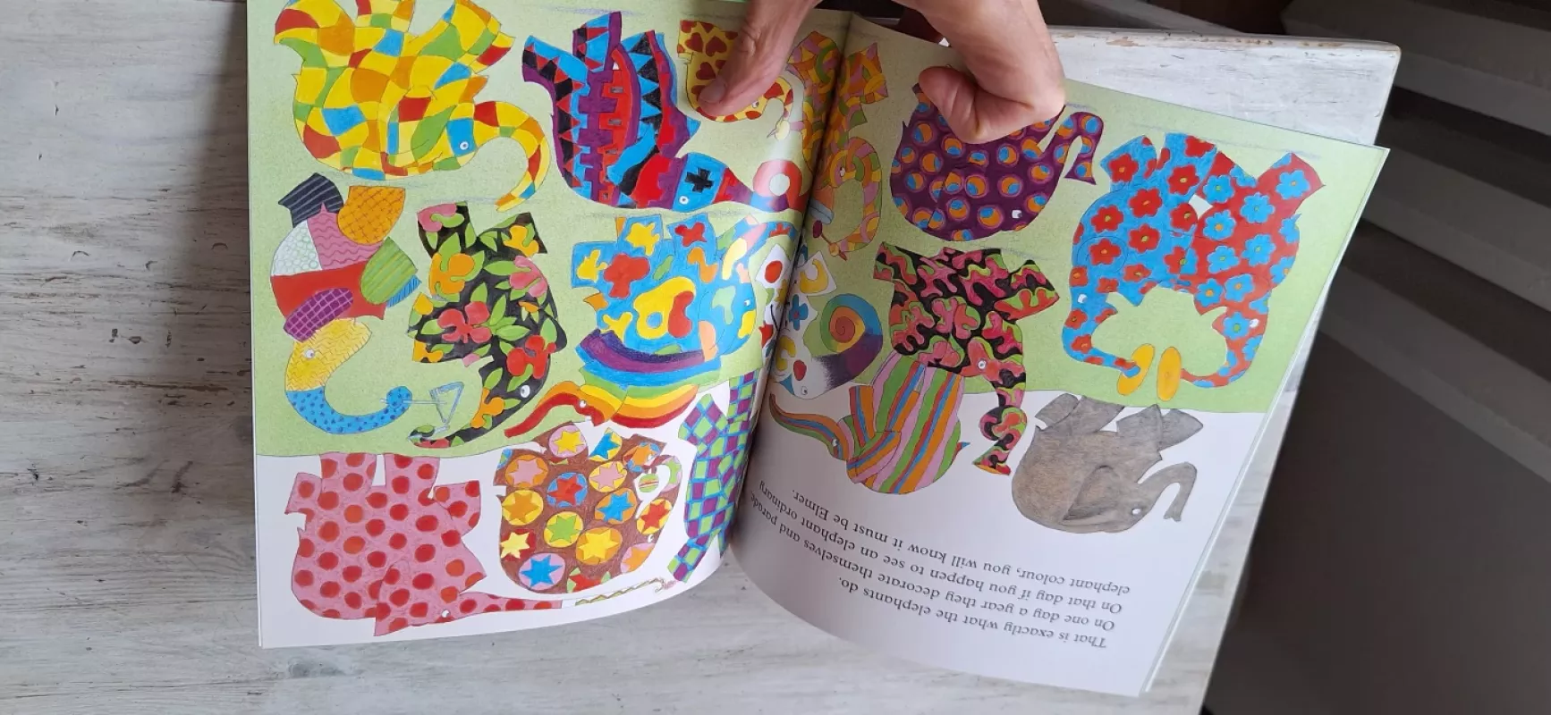 Elmer - David McKee, knyga 6