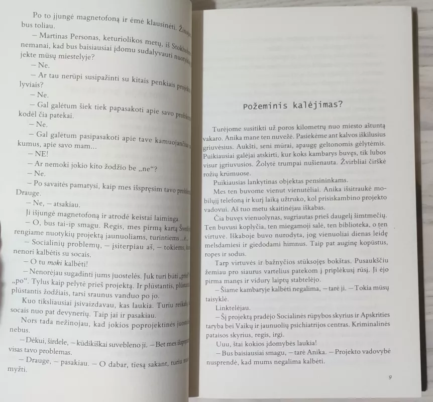 Blogio jėga: nuotykių projektas - Ulf Nilsson, knyga 4