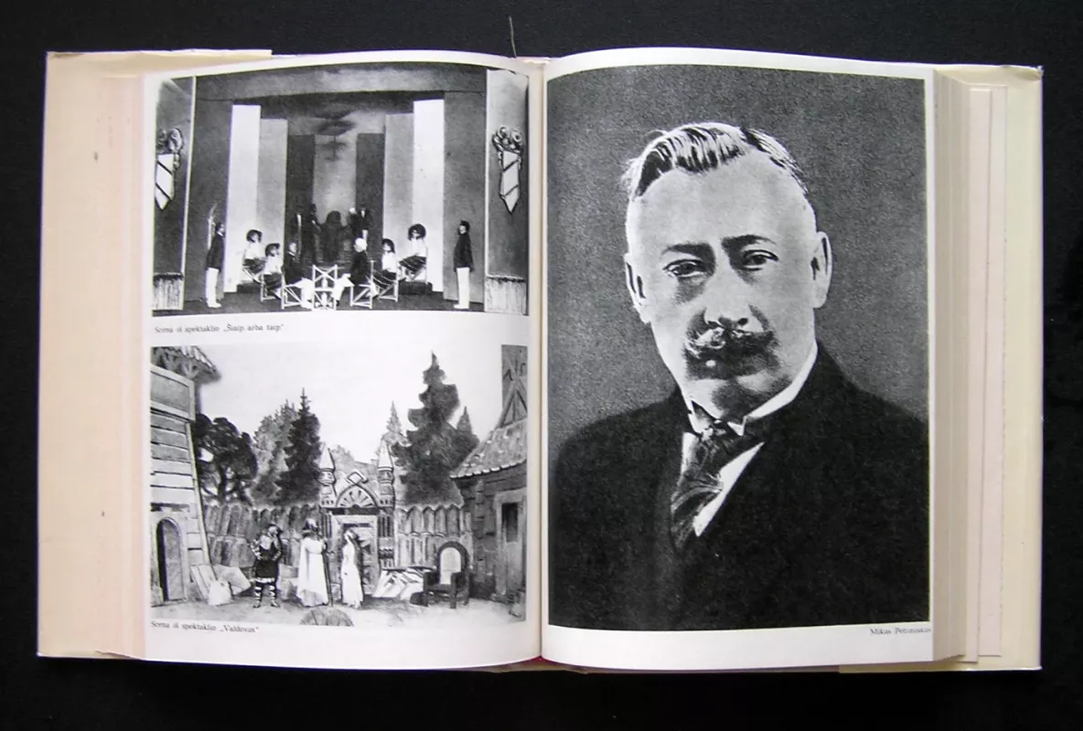 Lietuvių teatras 1918-1928 - Juozas Gaudrimas, knyga 5