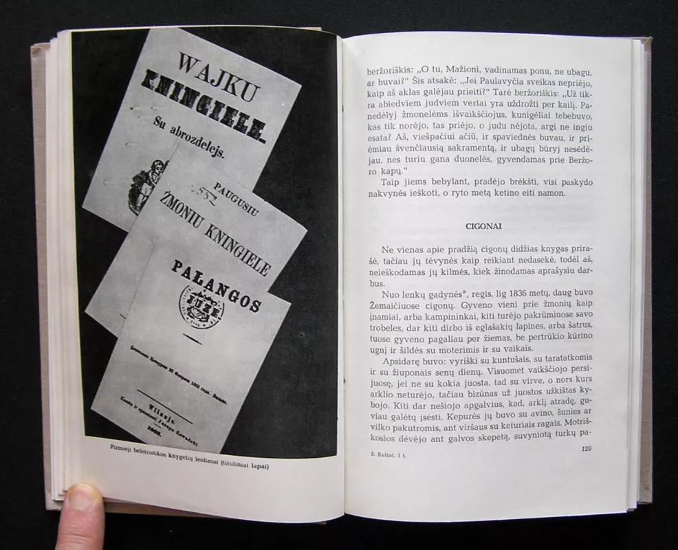 Raštai (I tomas) - Motiejus Valančius, knyga 4