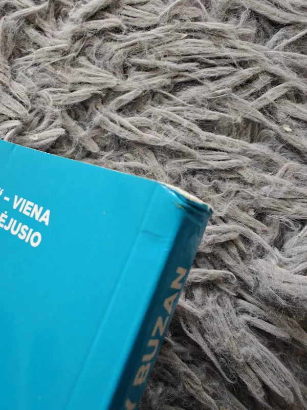 Lavinkite mąstymą - Tony Buzan, knyga 4