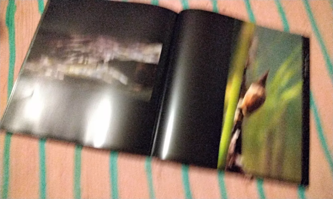 Šviesa tyloje - Saulius Kirvela, knyga 3