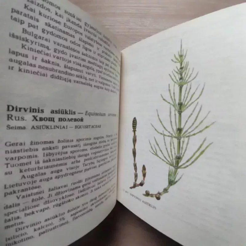 Augalai ir sveikata - Juozas Vasiliauskas, knyga 6