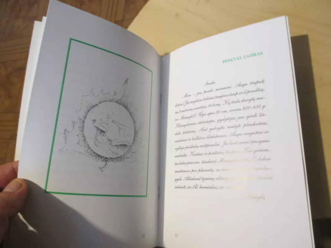 Devyni laiškai - Jūratė Šaumanienė, knyga 6