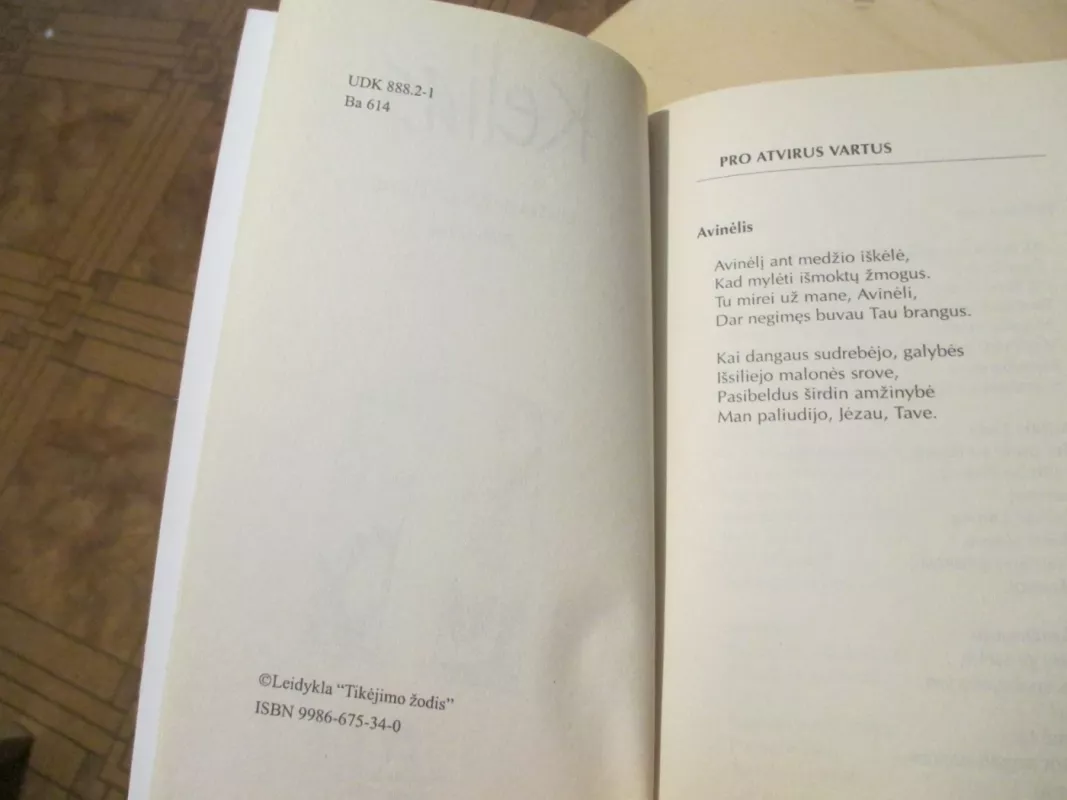 Kelias - Liuda Bažadragienė, knyga 6