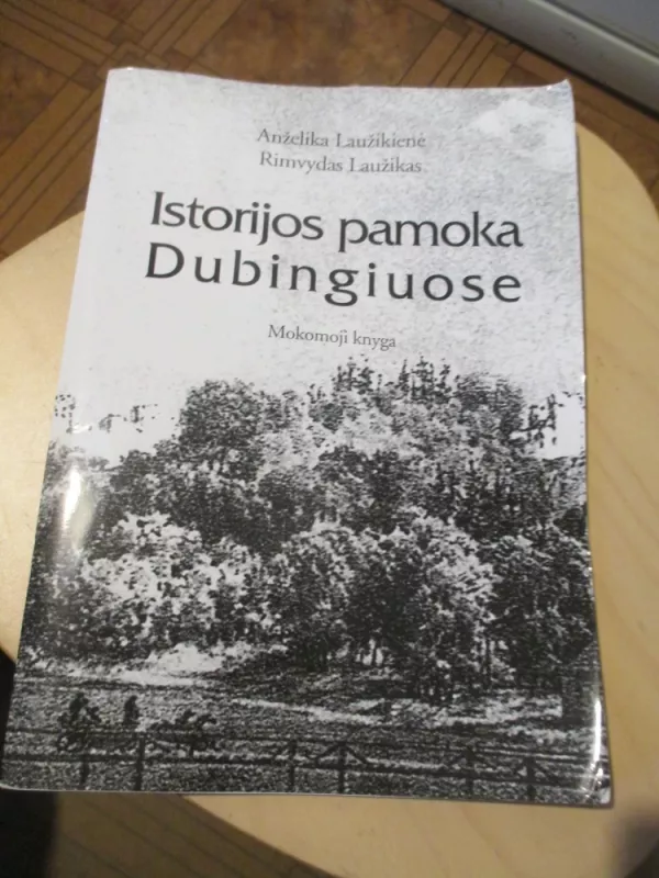Istorijos pamoka Dubingiuose - Rimvydas Laužikas, Anželika Laužikienė, knyga 4