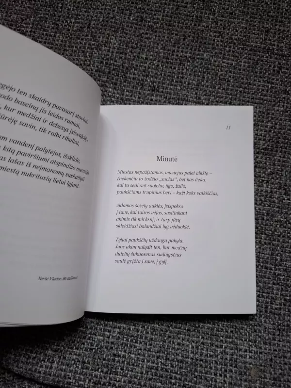 Gruzijos poetų antologija - Autorių Kolektyvas, knyga 3