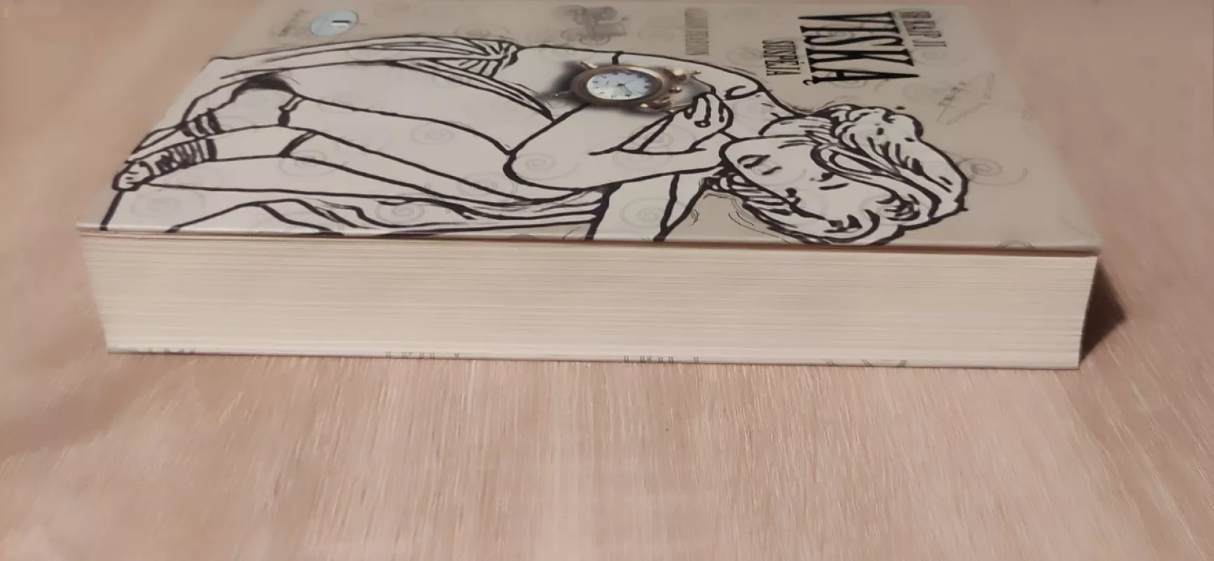 Ir kaip ji viska suspėja - Allison Pearson, knyga 4