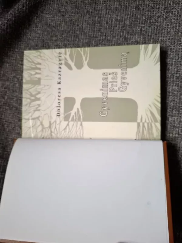 Gyvenimas prieš gyvenimą - Doloresa Kazragytė, knyga 5