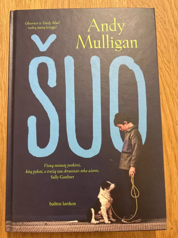 Šuo - Andy Mulligan, knyga 2