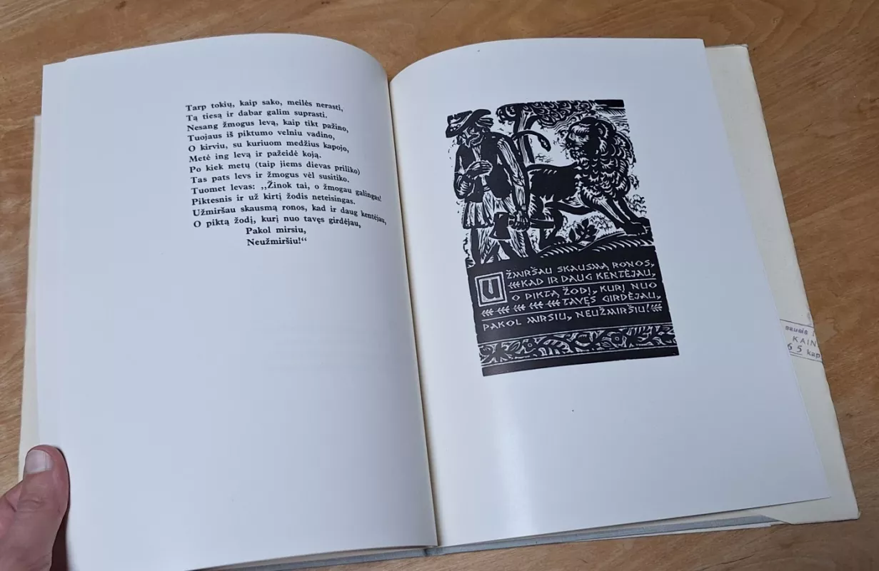 Pasakėčios - Simonas Stanevičius, knyga 4