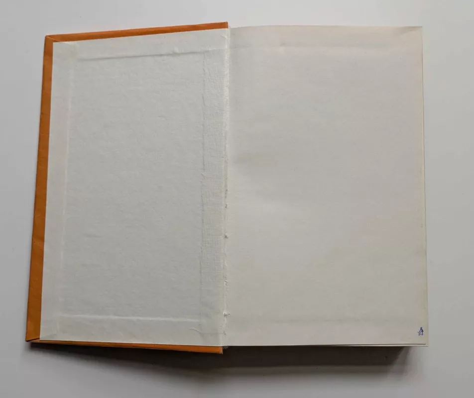 Karalienė Margo - Aleksandras Diuma, knyga 3