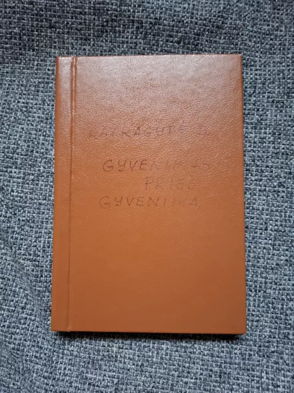 Gyvenimas prieš gyvenimą - Doloresa Kazragytė, knyga 2