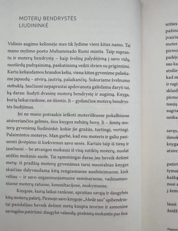 Palaimintos moterys - Raminta Lapinskaitė, knyga 3