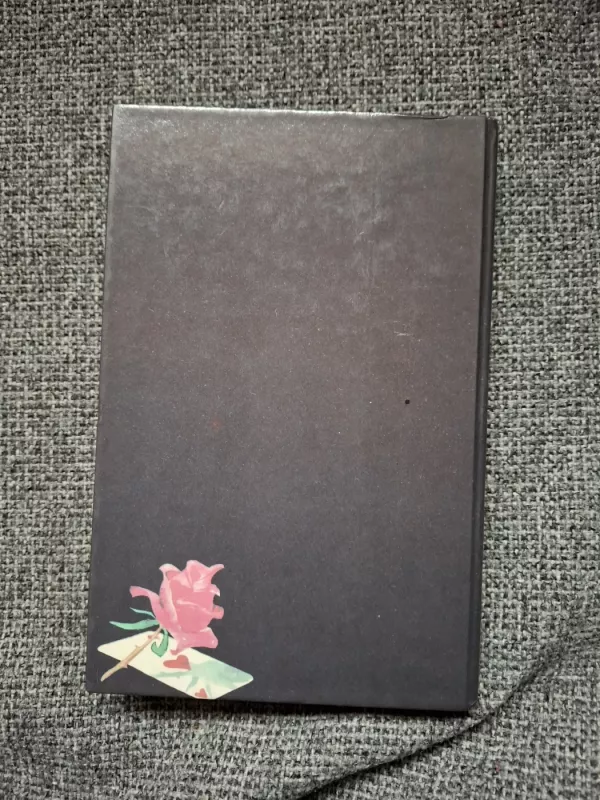 Grafienė Rudolštadt - Žorž Sand, knyga 3