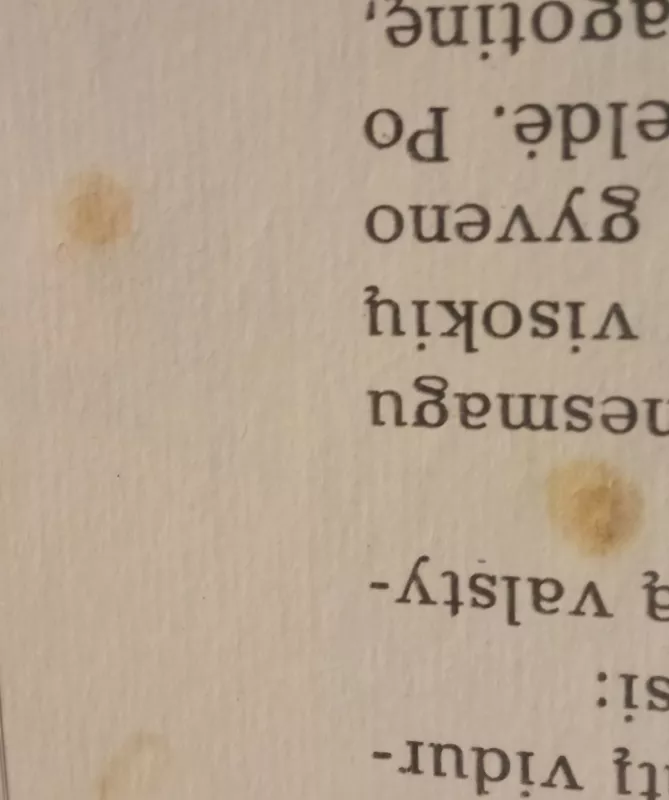 Molio Motiejus-žmonių karalius - Vytautas Petkevičius, knyga 4