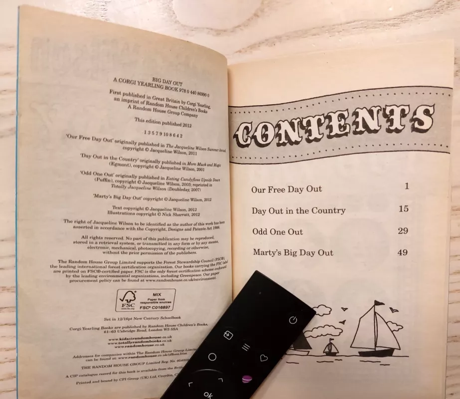 Big Day Out - Jacqueline Wilson, knyga 4