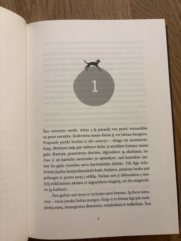 Šuo - Andy Mulligan, knyga 3