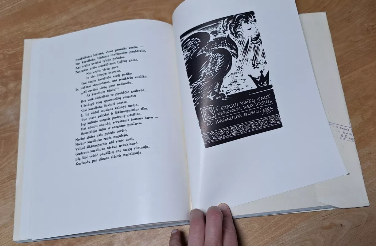 Pasakėčios - Simonas Stanevičius, knyga 3