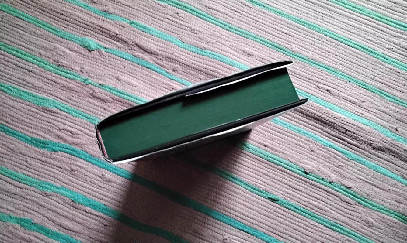 Murder at Holly House - Denzil Meyrick, knyga 4