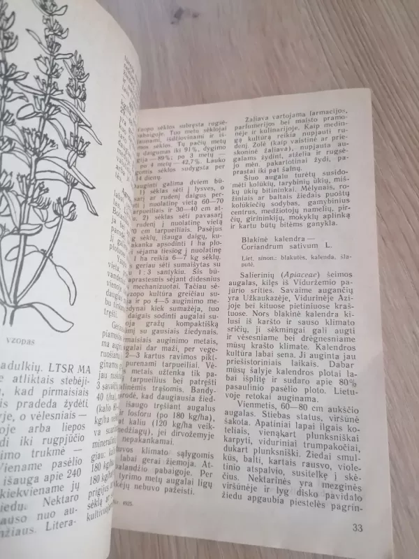 Medingieji augalai - Jadvyga Balvočiūtė, knyga 5