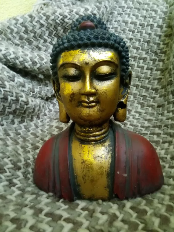 Buda - , namai ir interjeras 3