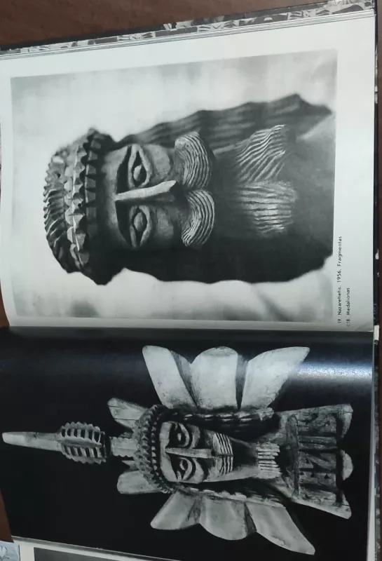 Lionginas Šepka - Zita Žemaitytė, knyga 5