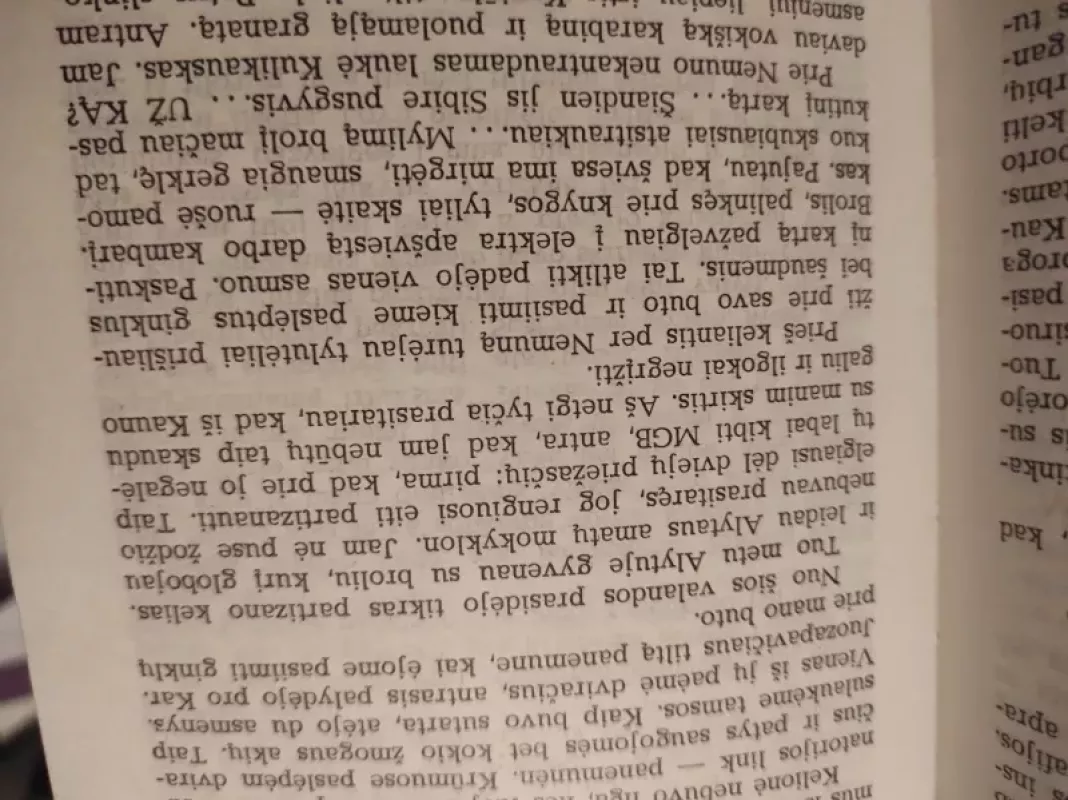 Daugel krito sūnų ... - Adolfas Ramanauskas-Vanagas, knyga 4