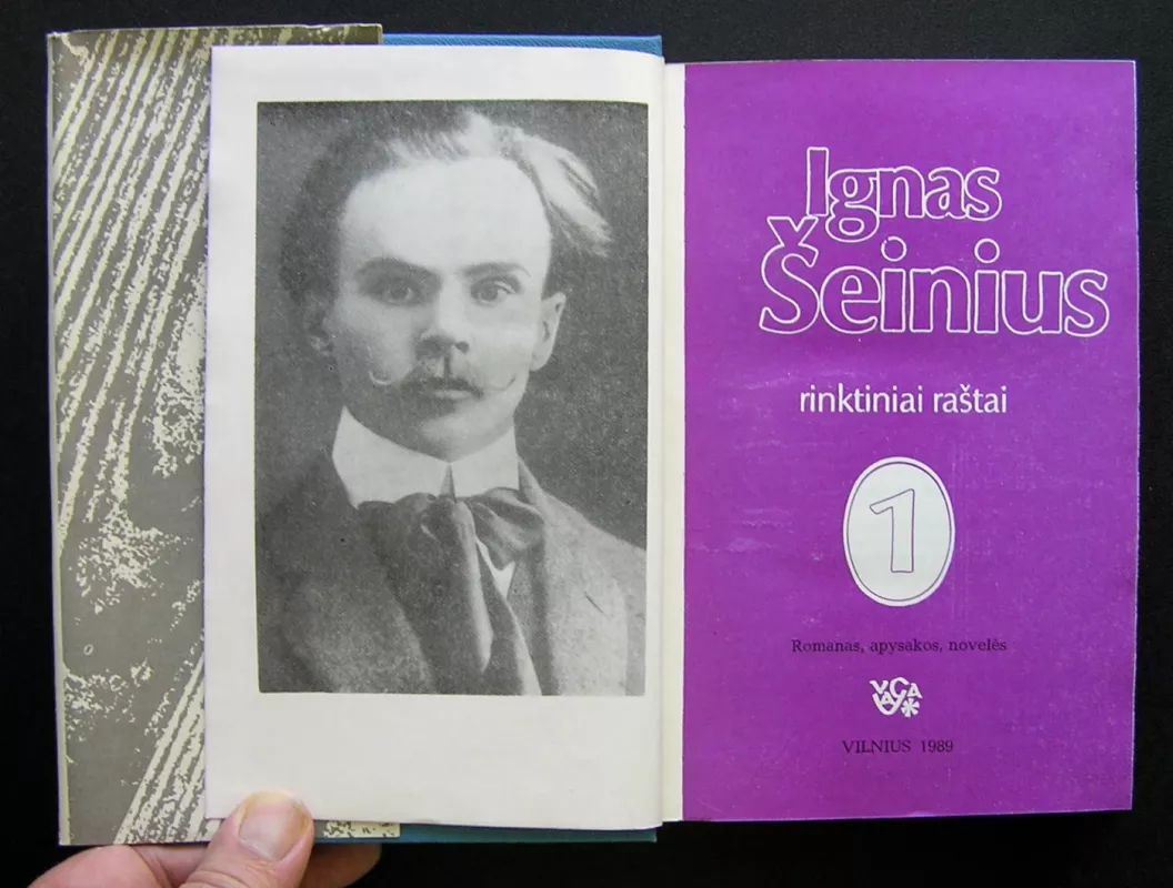Ignas Šeinius Rinktiniai raštai (2 Tomai) - Ignas Šeinius, knyga 4