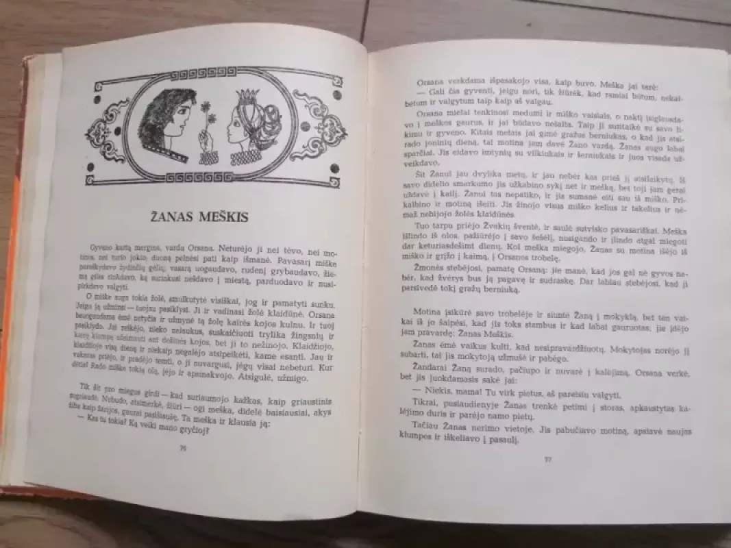 Princesė pelytė - Autorių Kolektyvas, knyga 5