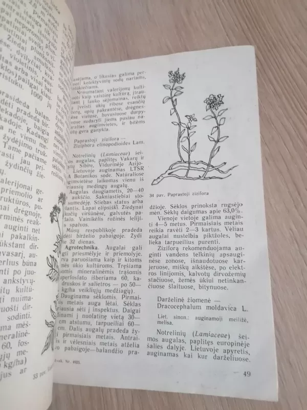 Medingieji augalai - Jadvyga Balvočiūtė, knyga 4