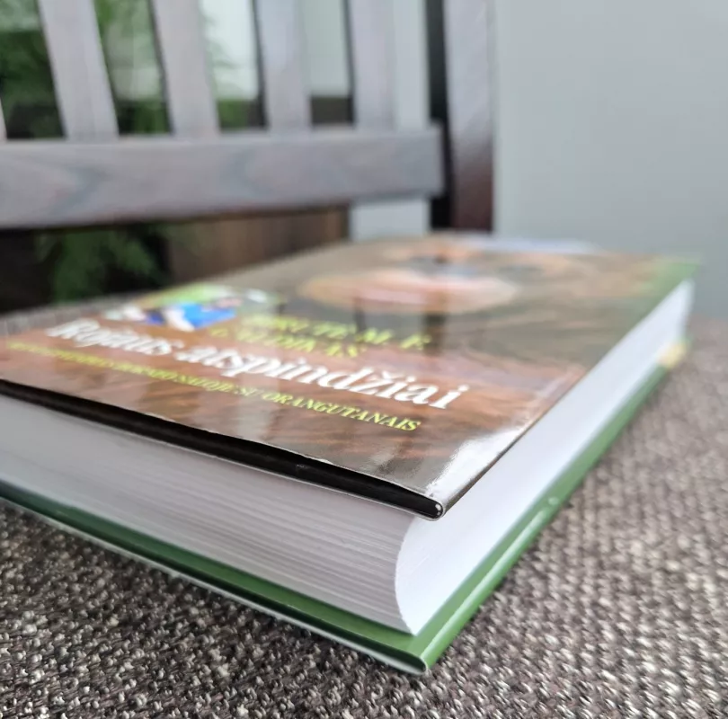 Rojaus atspindžiai - Birutė Galdikas, knyga 4