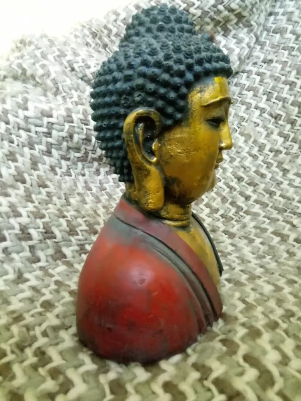 Buda - , namai ir interjeras 6