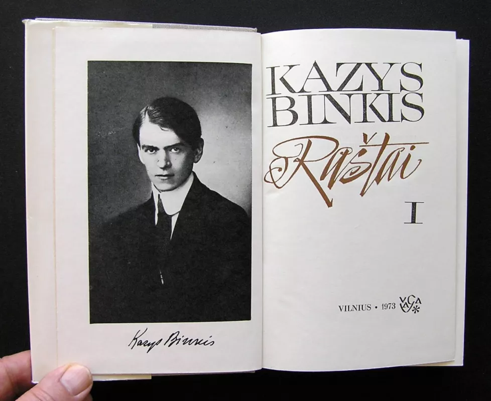 Raštai I tomas. - Kazys Binkis, knyga 4