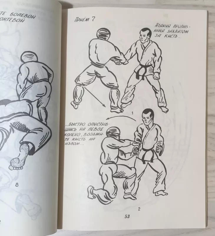 Kas tu, nindzė - Gavrikovas, A.; Gusevas, I., knyga 6